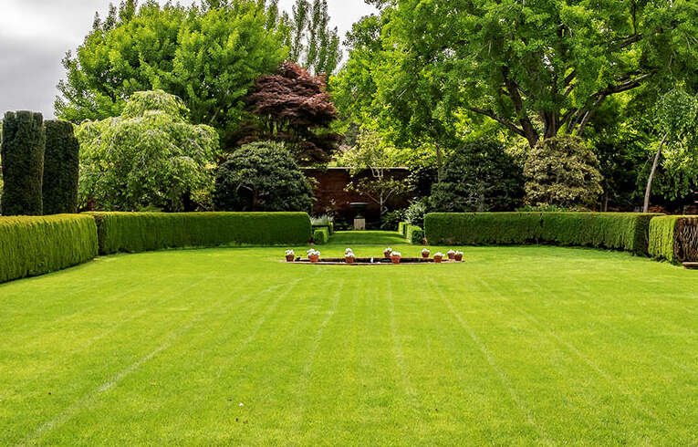Garden Design Services Melbourne