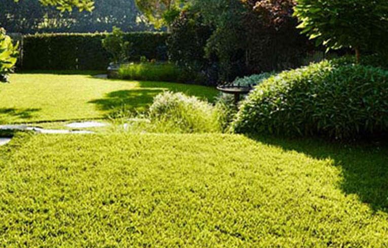 Landscaping in Melbourne