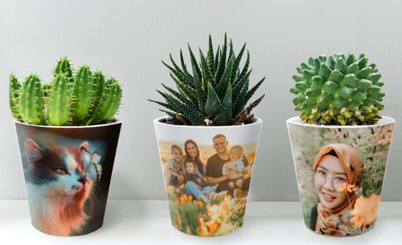 Personalized Plant Pots: Custom Ceramic Planters for Branding, Gifting, and Home Décor