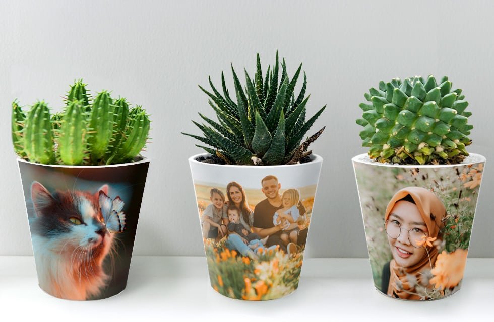 Personalized Plant Pots: Custom Ceramic Planters for Branding, Gifting, and Home Décor