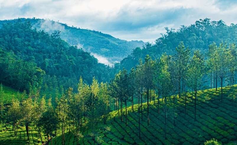 Best Resort in Thekkady