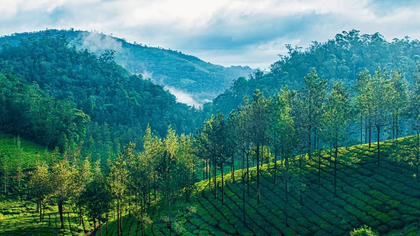 Best Resort in Thekkady