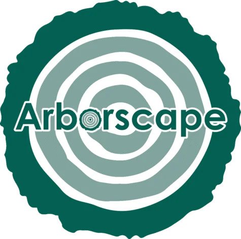 Tree Surgeon Cumbria – Professional Tree Care from Arborscape