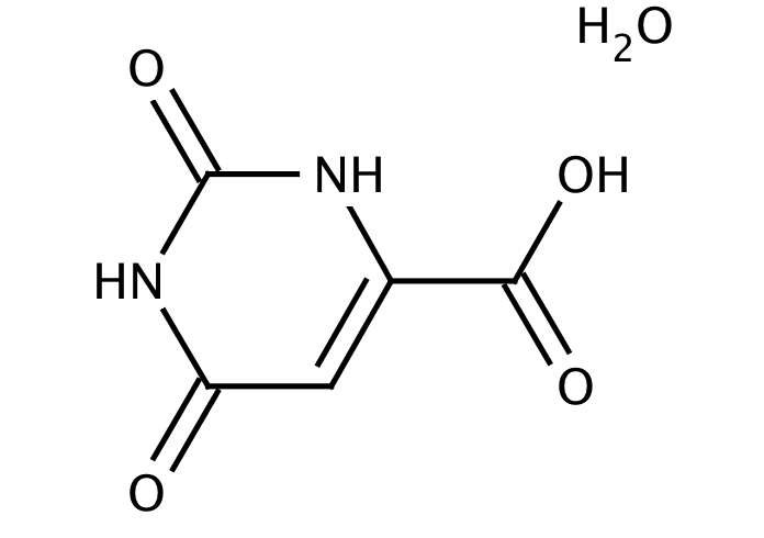 How Do Pyrimidines Connect Chemical Synthesis with Nucleic Acid Research?