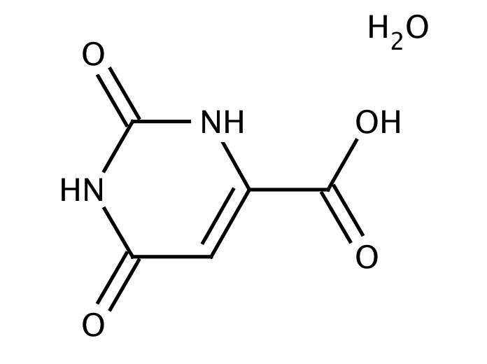 How Do Pyrimidines Connect Chemical Synthesis with Nucleic Acid Research?