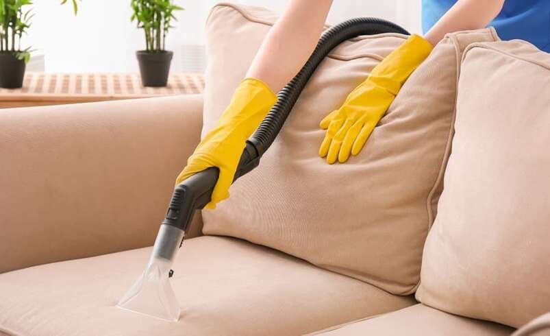 A Practical Guide to Fresher, Healthier Furniture
