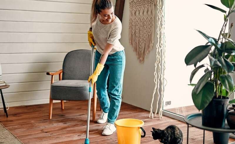 Best Renovation Companies in Manchester: A Complete Guide to Choosing the Right Renovation Partner