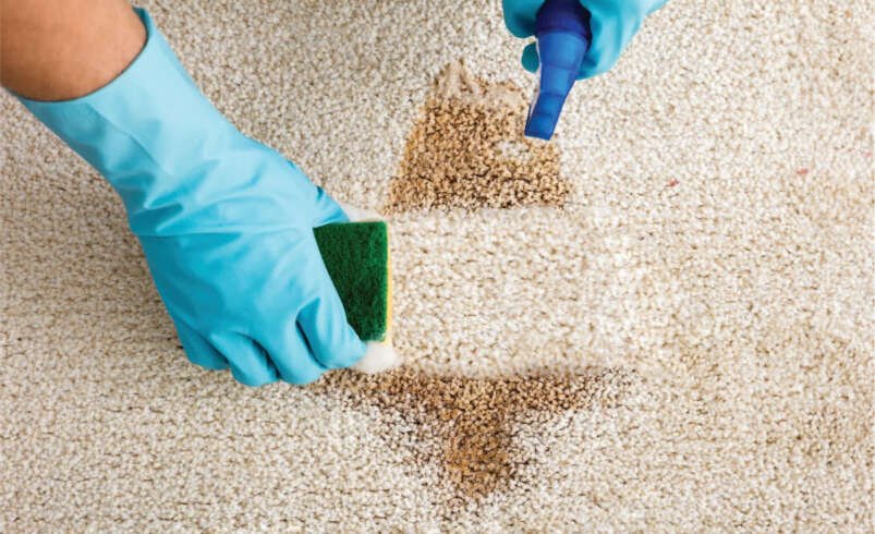 How to Choose the Right Approach for Carpet Stains in San Antonio