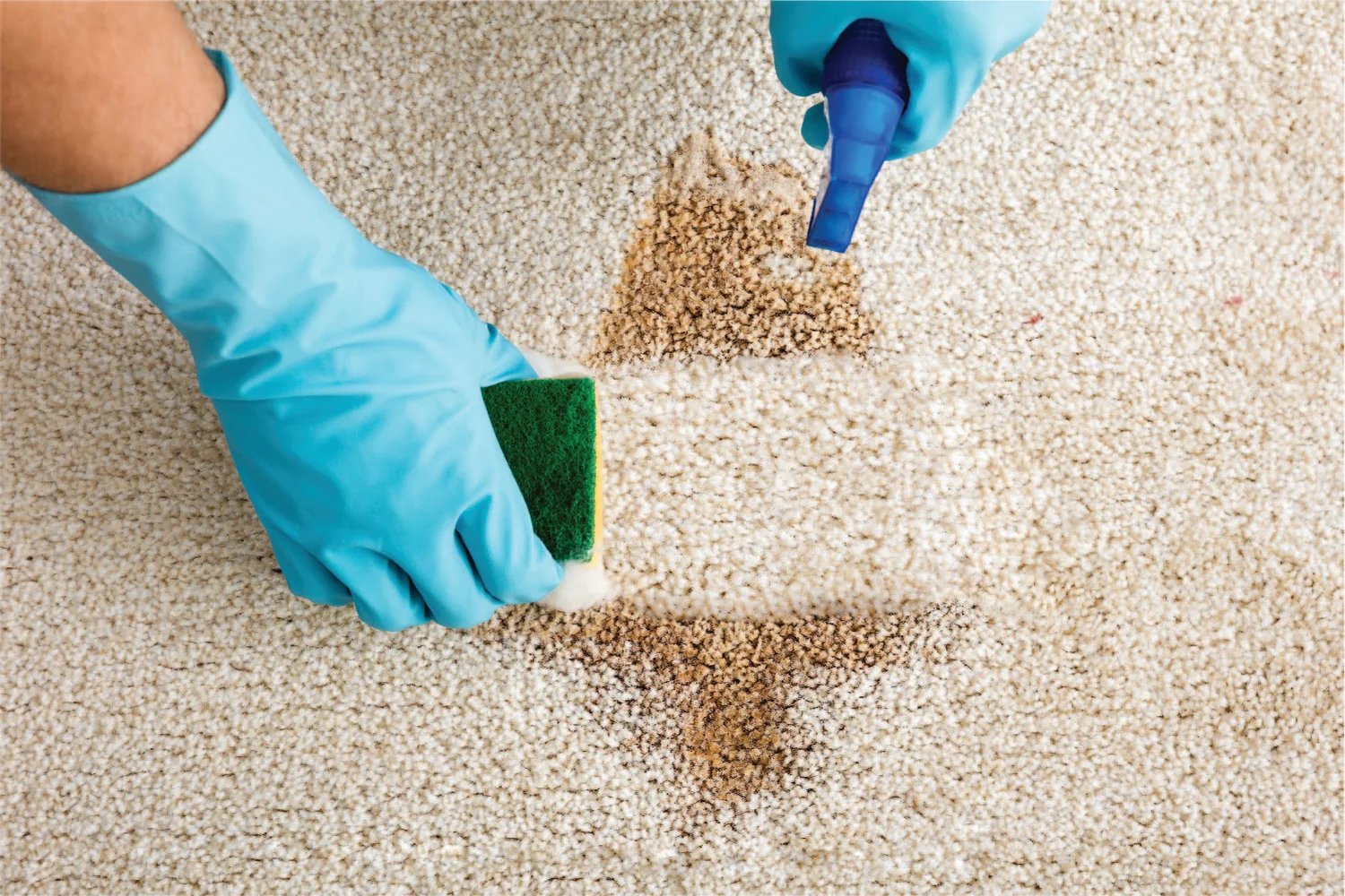 How to Choose the Right Approach for Carpet Stains in San Antonio