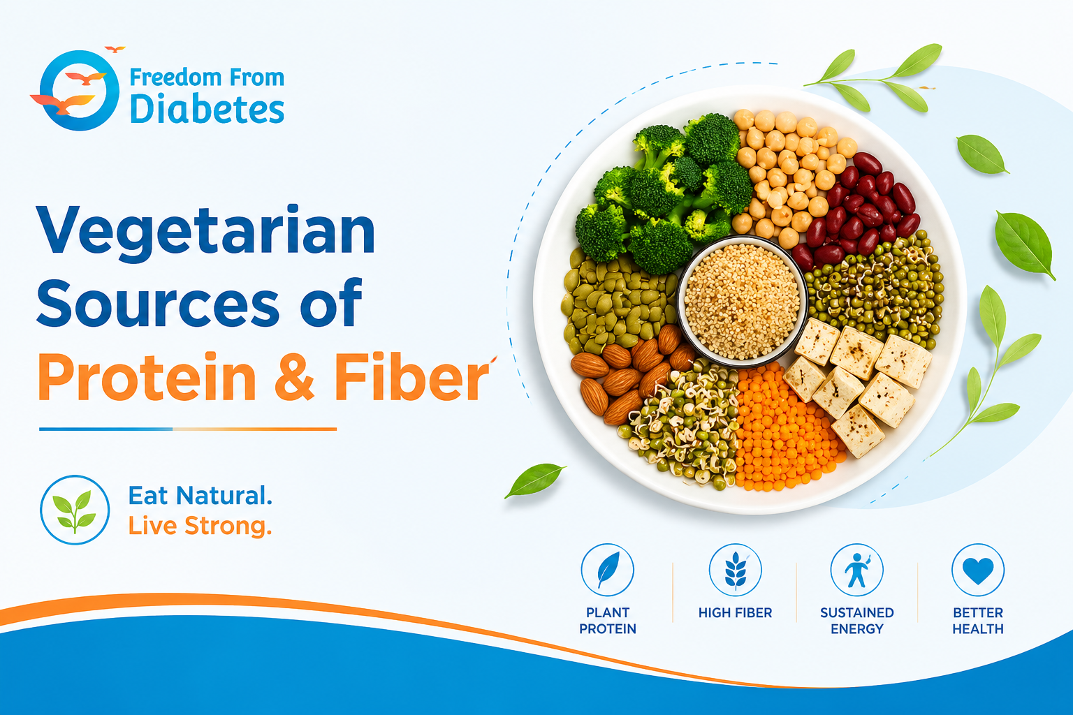 What are Vegetarian Sources of Protein and Fiber
