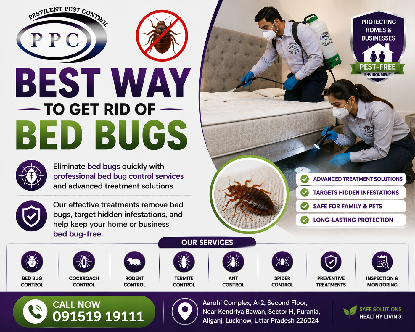 Why Professional Pest Control Is Essential for a Clean, Safe & Pest-Free Property