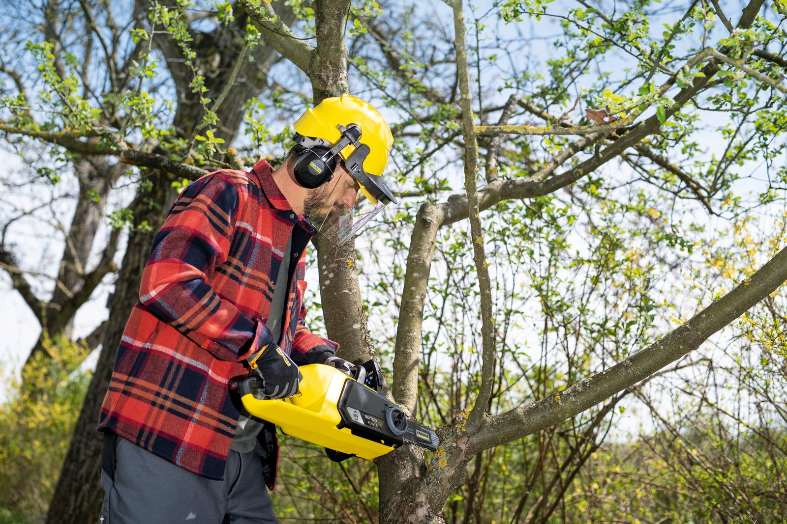 Tree Pruning Company: Expert Services for Safe and Healthy Trees
