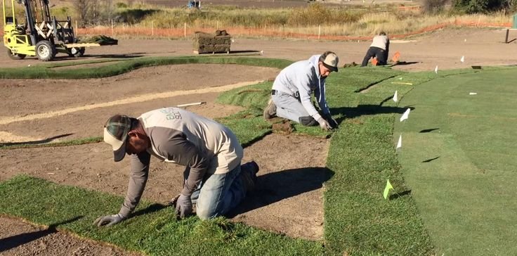 How Professional Sod Installation Services Improve Your Lawn?