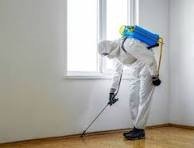 Pest Control SEO: A Complete Guide to Growing Your Pest Control Business Online