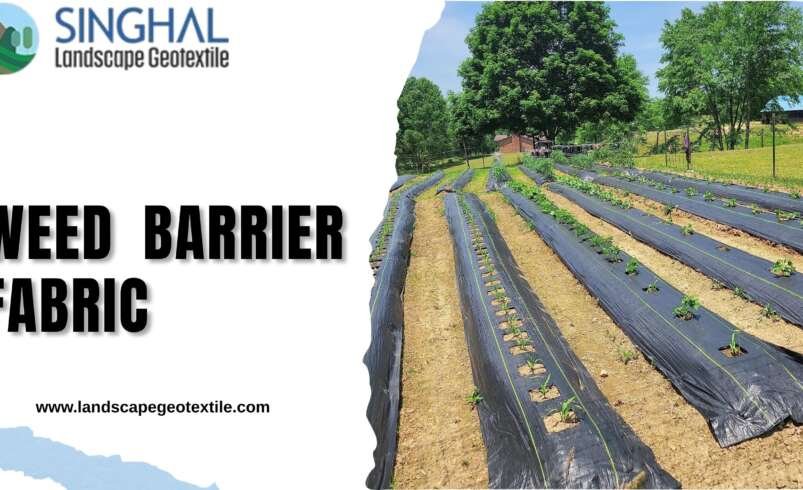 Essential Weed Barrier Fabric for Sustainable Landscape Care