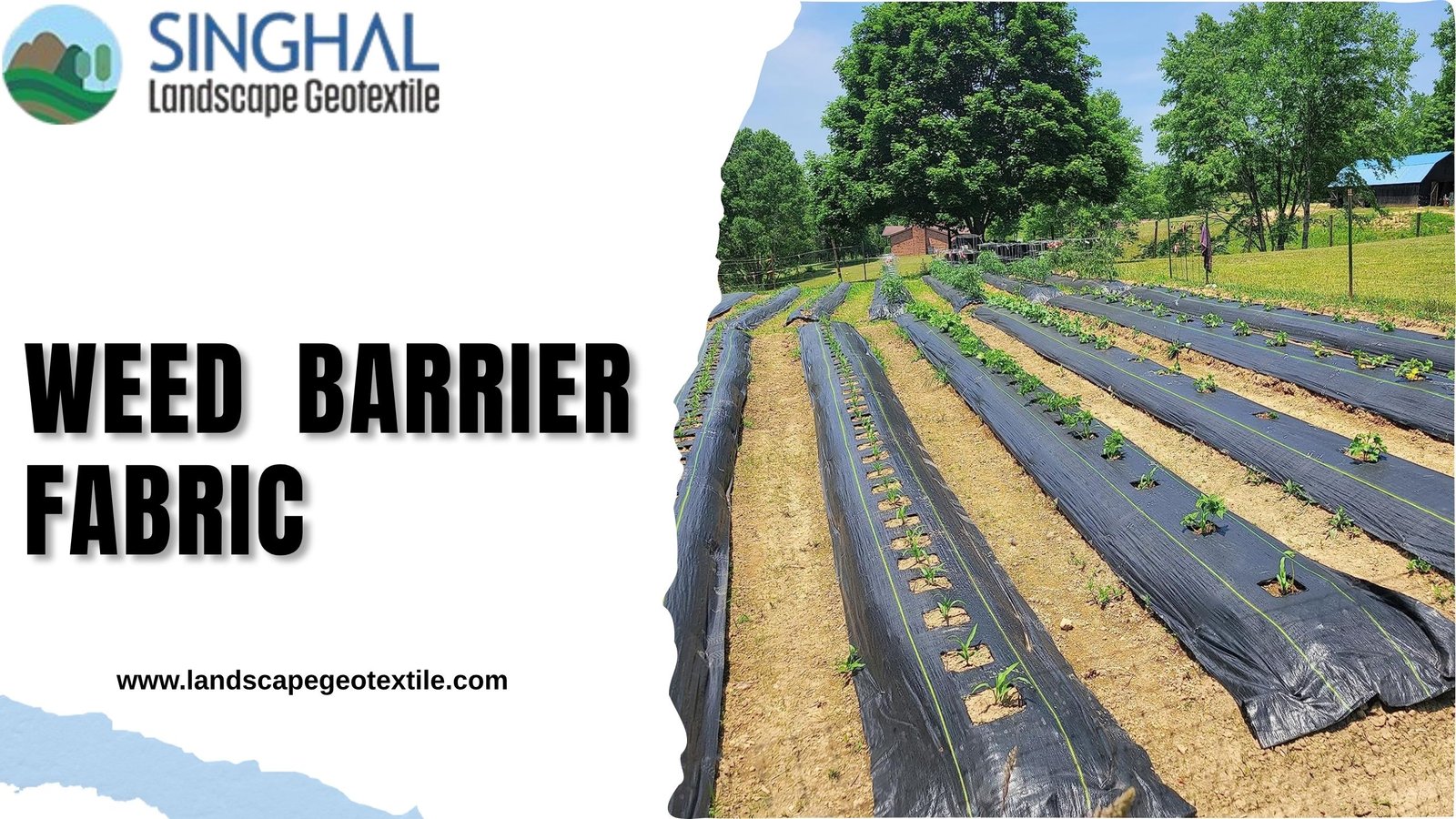 Essential Weed Barrier Fabric for Sustainable Landscape Care