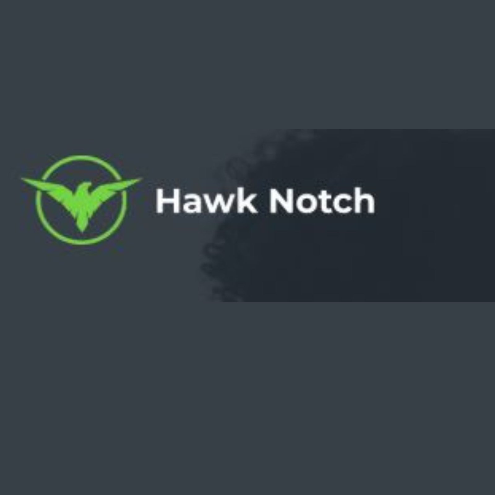 Grow Your Amazon Sales with Hawk Notch Advertising Services