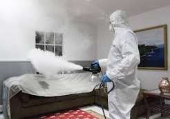 Odor Removal: Effective Ways to Freshen Your Home Today