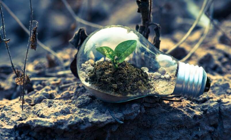 The Changing Environment: A Critical Challenge for Today’s World