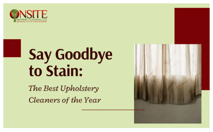 best stain remover for couch