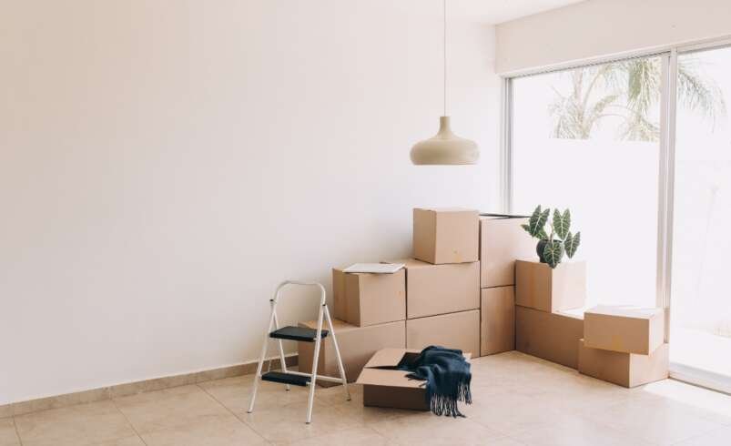 Wanneer Is Een Woning Vervuild En Hoe Kunt U Deze Laten Ontruimen?