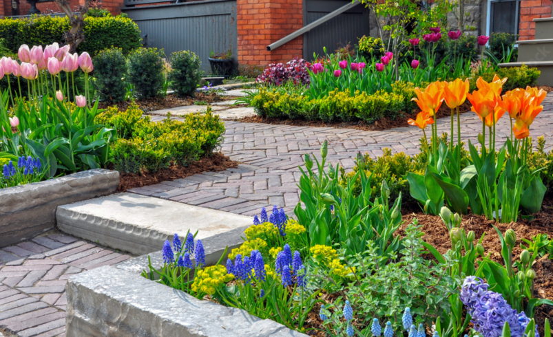 Landscaping Sod Installation Near Me for a Beautiful, Lasting Lawn