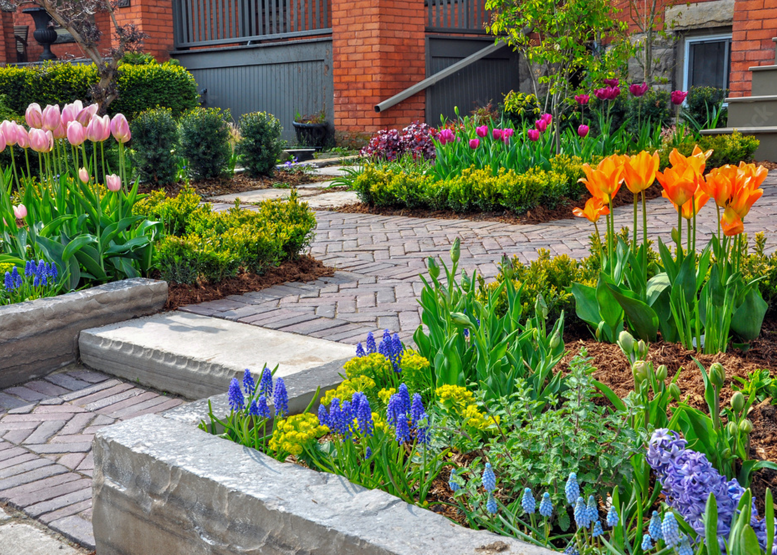Landscaping Sod Installation Near Me for a Beautiful, Lasting Lawn