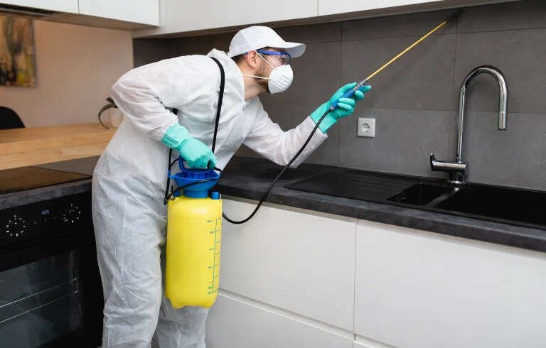A Practical Guide to Affordable Pest Control