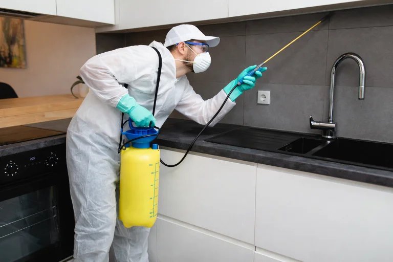 A Practical Guide to Affordable Pest Control