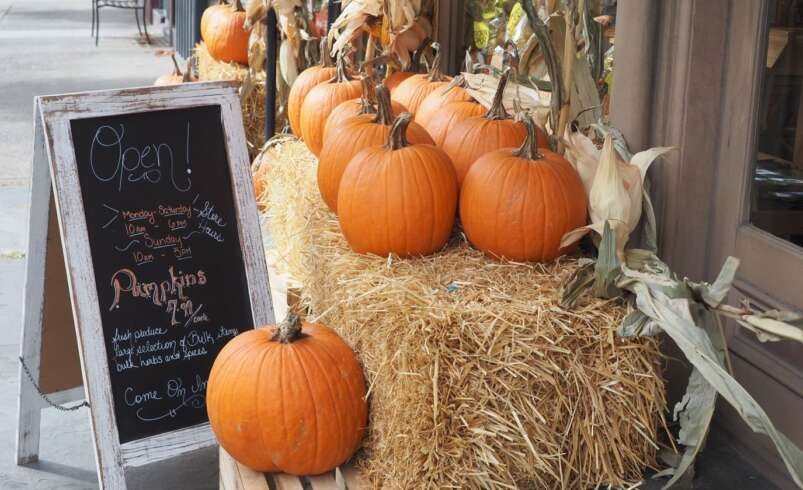 Affordable Halloween Party Planning Ideas for First-Time Hosts in 2026