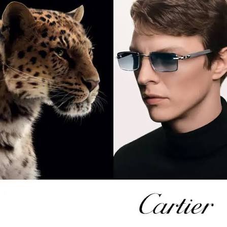 USA Eyewear Fashion Trends to Watch in 2026