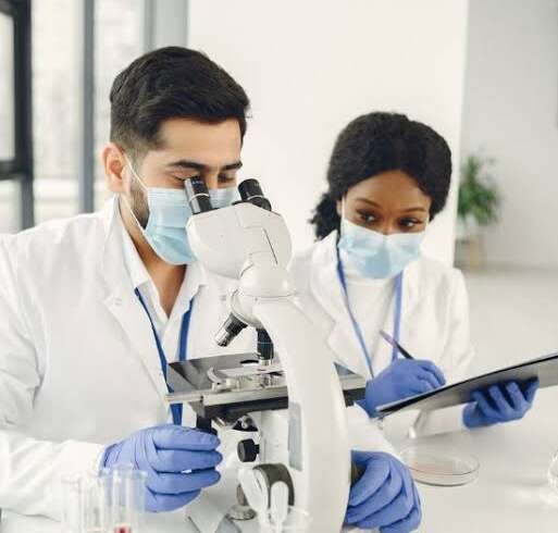 Global Peptide Sciences: Peptides Suppliers in Australia A Practical Research Guide