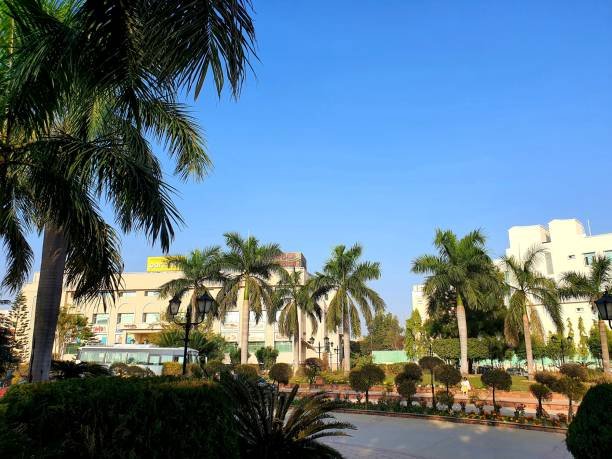 Manratan Resort Availability – Book Hotel in Narsinghgarh for a Comfortable and Relaxing Stay 