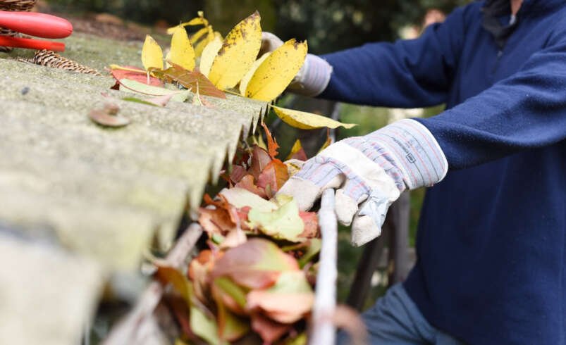 A Practical Guide to Maintaining Clean and Functional Home Gutters