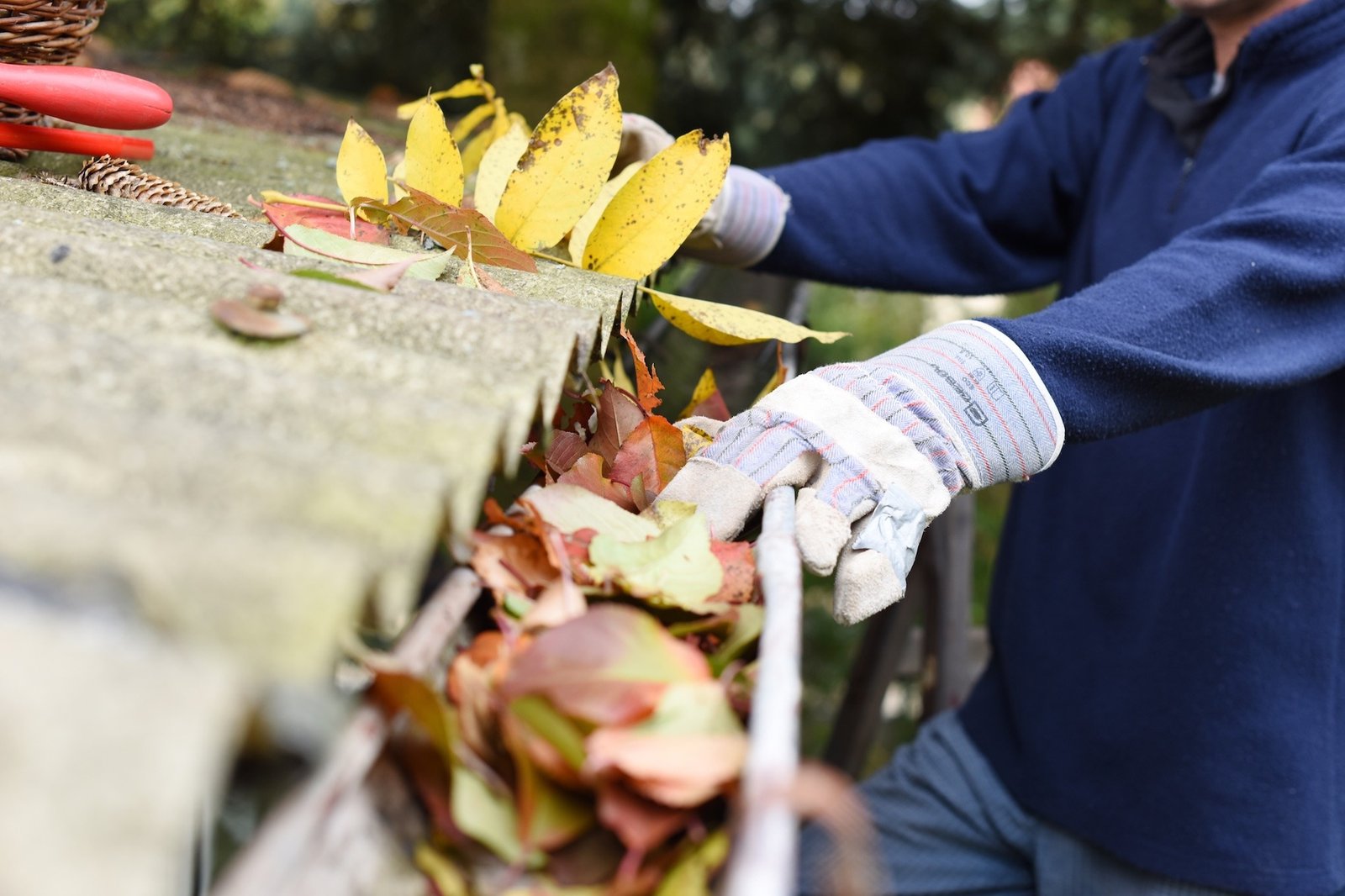 A Practical Guide to Maintaining Clean and Functional Home Gutters