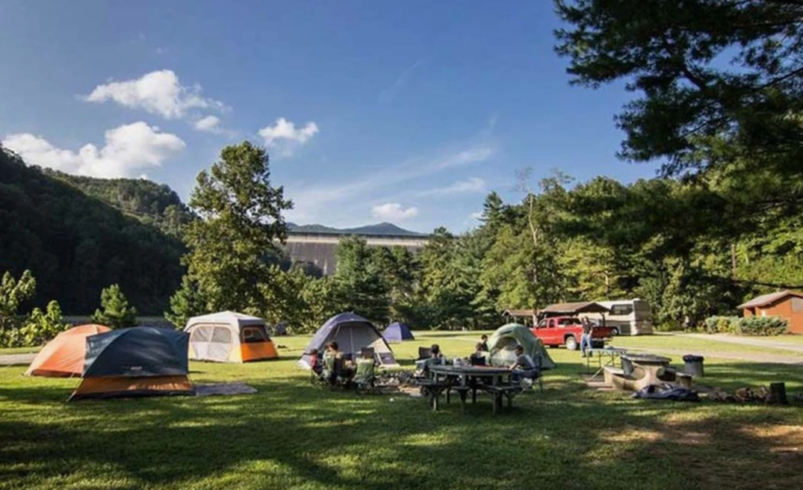 Finding the Right Campground in Steinhatchee, Florida