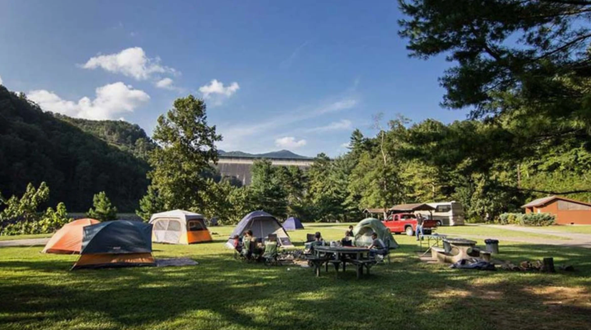 Finding the Right Campground in Steinhatchee, Florida