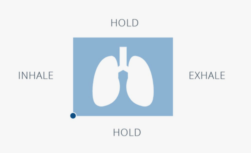 Inhale Hold Exhale Timer and Free Breathing Timer Online
