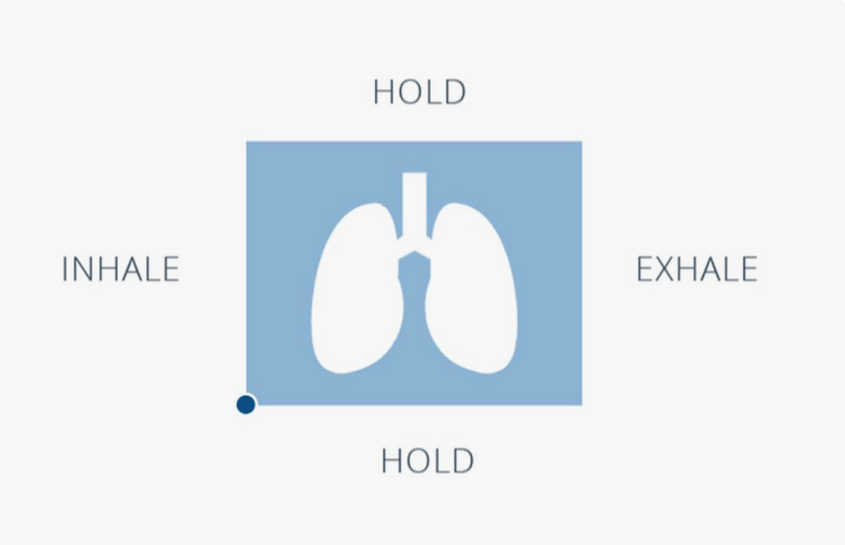 Inhale Hold Exhale Timer and Free Breathing Timer Online