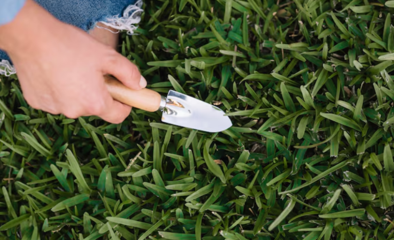 Best Lawn Aeration Company: Understanding Lawn Aeration Cost and Healthy Grass Growth