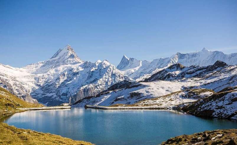 How Can You Experience Switzerland’s Traditional Cheese-Making Culture?