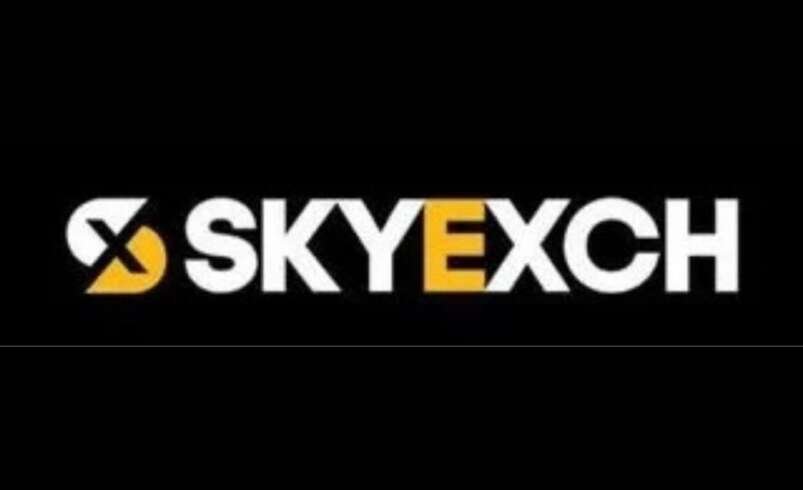 Sky Exchange Guide: What to Know Before Using an Online Sports Platform